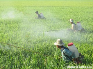 GÓC NHÌN ĐẠI BIỂU: SẢN XUẤT VÀ SỬ DỤNG THUỐC BẢO VỆ THỰC VẬT SINH HỌC VÌ MỘT NỀN NÔNG SẠCH